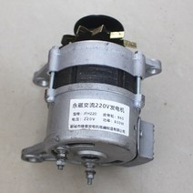 영구 자석 발전기 220v 2000w 고전력 가정용 브러시리스 교류, 220V800W