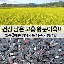 [진도장모와서울큰사위] 21년 햅곡 출시 흑찰미 쌀눈3배큰 왕눈이흑미 눈큰흑찰 쌀 1kg, 1개, 5kg