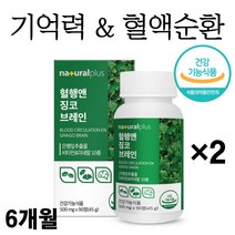 혈행앤 징코 브레인 90정x2통