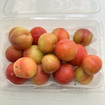 경북 성주 노지 대석자두, 소과, 2kg, 1개