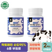 모메라이프 락토페린플러스 60정 2박스 동결건조 자연방목 고품질우유생산