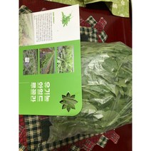 홍성의 김용찬 유기농 와일드 루꼴라 500g