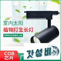 등 풀스펙트럼 원예 꽃집 다육보광등 벽 레일등, 10w [화이트 ] 6000K