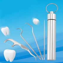 슈와츠 슈와츠코리아 스틸 치석제거기 스케일링 휴대용 치아관리기 1세트, 셀프 치석제거기 1세트