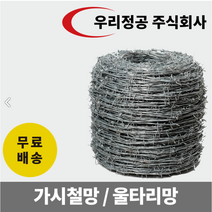 가시철조망 50M 100M 가시철망 가시철사 군대담장 방범용, 가시철조망 100M