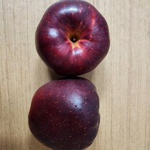 목하원예조경 