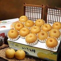 소담촌 나주배 7.5kg(가정용), 7.5kg(13~15과)가정용, 9월19일-9월21일발송