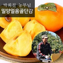 참다올 [참다올] 10.25부터 출고! 박희철농부의 GAP 밀양단감 소과10kg(71-80과)