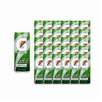 게토레이 레몬 캔, 240ml, 25개