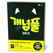 개념풀 화학 2 (23년용)