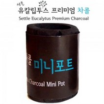 세틀 유칼립투스 프리미엄 차콜 미니포트 M 수초포트 모스 수초 심기