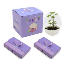 캣그라스 리필세트 고양이풀 화분 식물키우기 캣닢 귀리 밀 보리 재배 반려묘 헤어볼 작물 새싹 간식 씨앗, 보리세트(본품1개+리필키트2개)