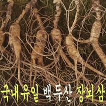 킹마트 장뇌삼 산양산삼 13년근 18년근 (10뿌리 한세트) 산양삼 산삼 선물 어버이날 13년산 18년산, 5뿌리