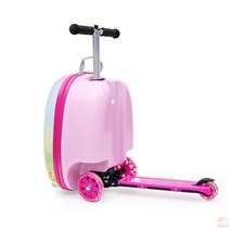 스쿠터 캐리어 킥보드 여행 가방 16 19 인치 휠 기내