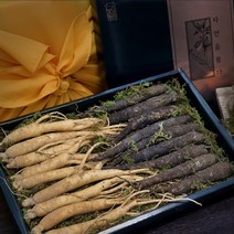 자연산 더덕 국내산 강원도 횡성 수삼 인삼 생삼 뿌리 담금주 인삼주 토종더덕 건강선물세트 인삼주담그는법 수삼먹는방법, 3박스, 수삼 100g 더덕 200g