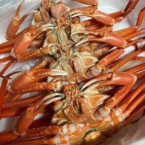 국내산 청정 바다 독도 홍게 6kg 자숙 대게택배 신선함, 독도 홍게 6kg 자숙 고급형 (수율 70~80%)