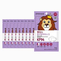 웰킵스 스마트황사방역 마스크 KF94 대형 25매, 상세페이지 참조, 상세페이지 참조, 상세페이지 참조