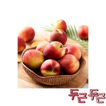 좋은맛 천도 5kg (21-과) 제철과일, 좋은맛 천도 복숭아 5kg (21-30과) 제철과일