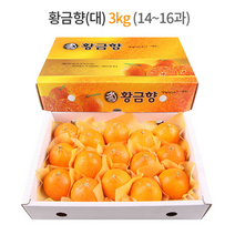 제주 황금향 선물세트 3kg (대과) 14-16과 / 하우스 노지 고당도 귤 감귤 밀감 레드향 천혜향 카라향 청귤 수라향 신비향 가정용 추석 명절 설 감사 은사 선물 조생 타이벡, 3kg (특대) 11-13과