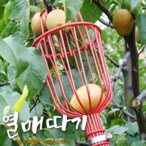 열매따는도구 헤드 과수원 수확도구 감따는기구 밤