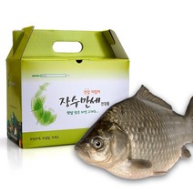 장수만세 붕어즙 소양강 잉어즙 110ml 65포, 붕어즙 1박스(55포)