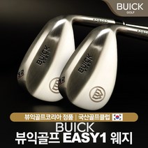 대한민국 대표 돌프브랜드 뷰익 이지원(EASY 1) 수제 단조 웨지, 다이나믹골드 트루템퍼 스틸샤프트 : 50
