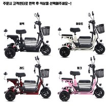 전기 오토바이 노인전동차 장애인 스쿠터 세발 가정용 소형 승하차 접이식 JH, 듀얼600W리튬12A30km/3인