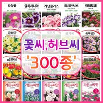 꽃씨 꽃씨몰 300종 허브씨 씨앗 다년생 노지월동 야생화 꽃씨앗 봄 제라늄 다알리아 작약, 152. 비스카리아 100립