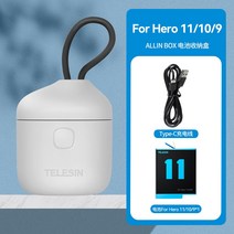 TELESIN텔레신 allin box 고프로11 10 9 배터리 충전기 sd카드 보관함 방수, B