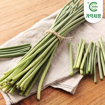 [온도씨]가락시장 마늘쫑 1단, 단품