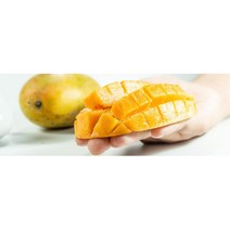 강아지영양보충 강아지습식사료망고 배변도움 스틱 간식 강아지가좋아하는사료 애견죽