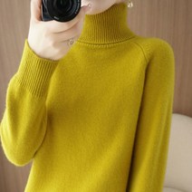 Joyce shop 솔리드22 폴라티 폴라 목폴라 목폴라티 여성 여자 터틀넥 가을 겨울티 니트티 목티 니트