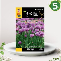 솔림텃밭몰 허브씨앗 차이브씨앗 400립 차이브 챠이브 허브씨