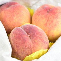 산지직송 [팜쿡] 의성 딱딱이 복숭아 4kg 특대 9-12과, 단품없음