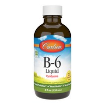 칼슨 비타민B-6 액상 레모네이드 120ml, 120ml X 1통