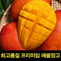 브라질 애플망고 1kg 망고 후숙 자르는법 냉동 여름과일 선물세트 산지직송 빙수과일
