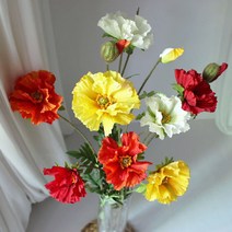 로지스튜디오 해당화, 옐로우