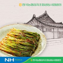 한국농협김치 청산 파김치3kg, 단품