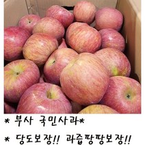 맛 보장!! 과즙팡팡 보장!! 산지직송 고당도 청송 부사 사과 3kg/5kg/10kg, 3kg(중소과)_9~14개