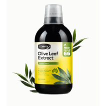 콤비타 올리브잎 추출물 500ml, 1개, 네츄럴(오리지날)