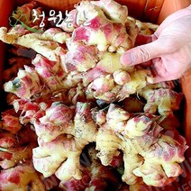 청원농산 2023년 햇생강 10kg(특품), 10kg x 1box