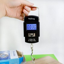 산업용 저울 1톤 100kg 농업용 캐리어 전자 매달림 저울 50kg10g 교수형 후크, C형 5g-50kg