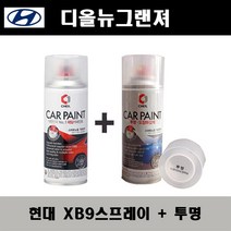 현대 디올뉴그랜져 XB9 바이오필릭블루 주문스프레이 + 투명스프레이 자동차 도색 차량용 카페인트, XB9 스프레이(제일)+투명스프레이(제일)