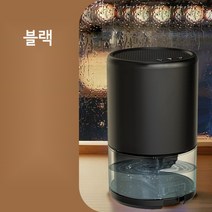 소형 제습기 가정용 지하실 원룸 흡습기 2색, 블랙