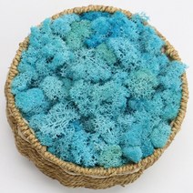 인공 이끼 정원 조화 식물 영원한 생명 홈 벽 꽃 재료 미니 조경 액세서리, 20g, e1