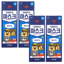 동화약품 부채표 KF94 마스크 화이트 대형, 20매, 1매입