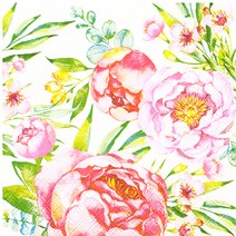 Ambient 10390 독일냅킨, 5660, 1팩