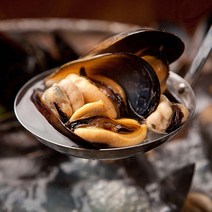 [당일채취] 국내산 손질 세척 홍합(수염제거), 홍합 5kg, 1개