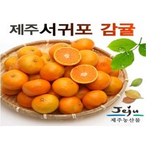 노지감귤 4.5kg소과(2S) / 4.5kg로얄과(S-M), 쿠팡 4.5kg소과 2S, 쿠팡 본상품선택