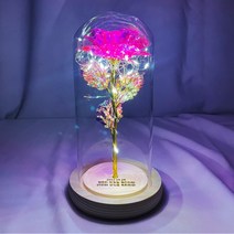 장미 꽃 와이프 생일 선물 결혼기념일 꽃 배달 선물, 홀핑크, 빛나는 별